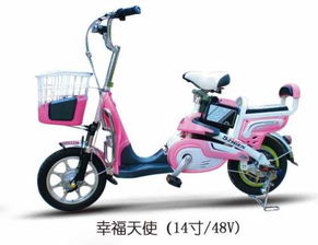 幸福天使的軌跡 一輛電動車與一千個微笑的故事